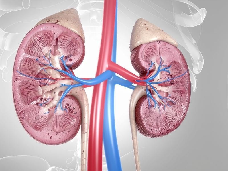Angioplastia renal unilateral