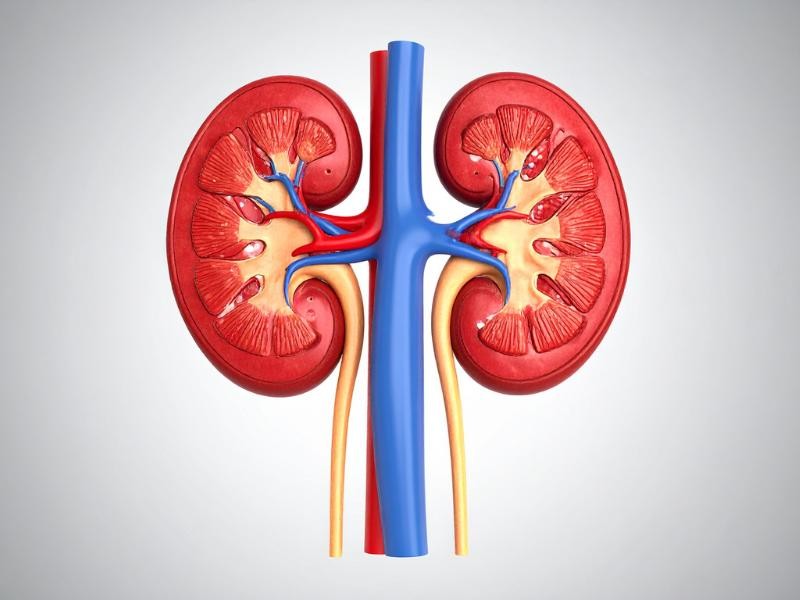 Ureterorrenolitotripsia flexível