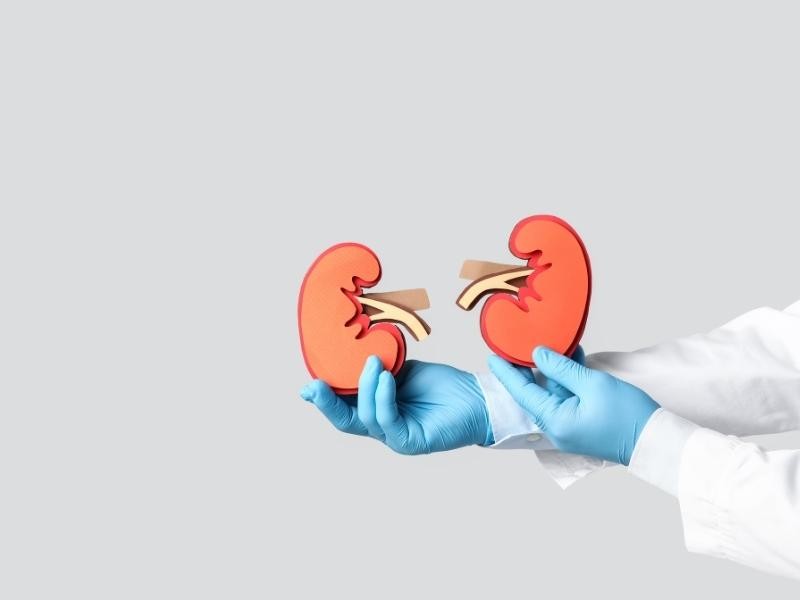 Angioplastia enxerto renal