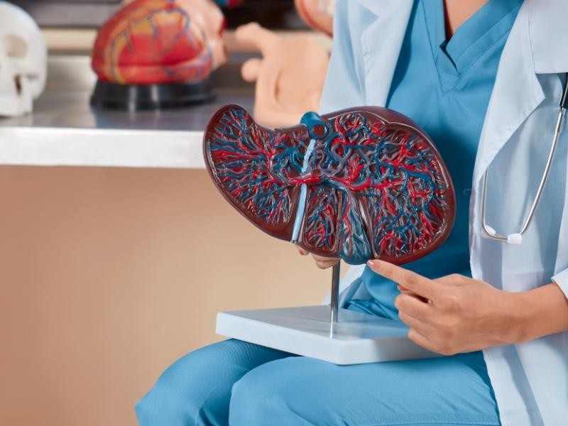 Arteriografia hepática