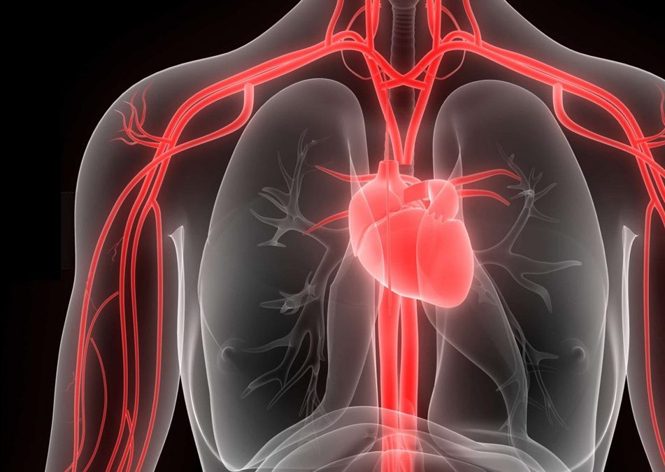 Cirurgia Vascular